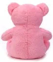 Cute Sitting Teddy